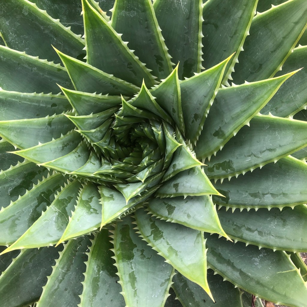 The body after&nbsp;leaving