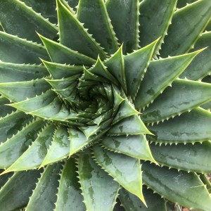 The body after&nbsp;leaving