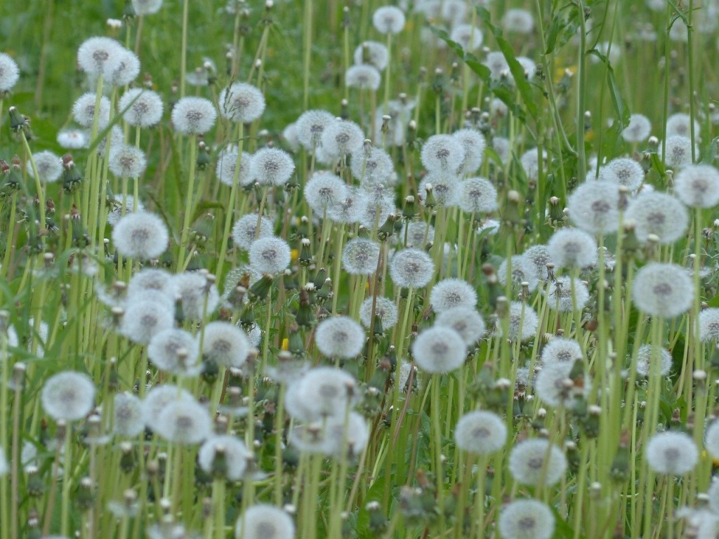 Repost: Approaching groups