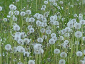 Repost: Approaching groups