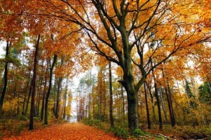 Reblog: Marking the&nbsp;seasons