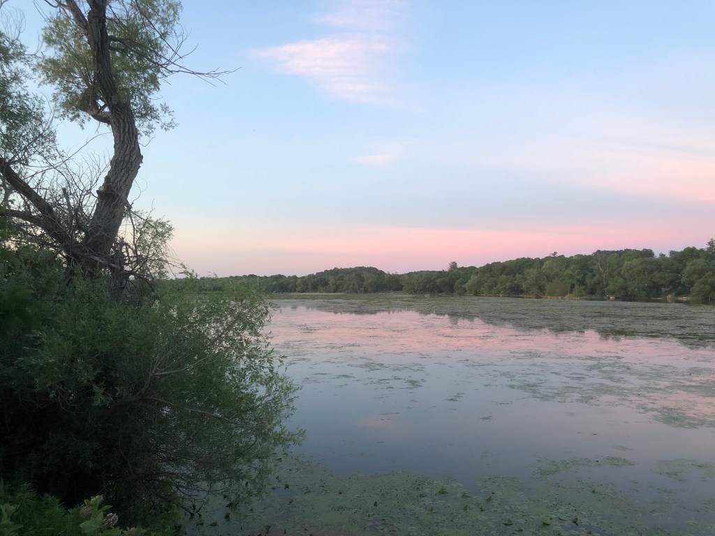 A change of&nbsp;perspective