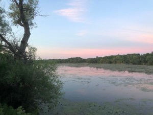 A change of&nbsp;perspective