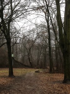 Rise of the&nbsp;Nones