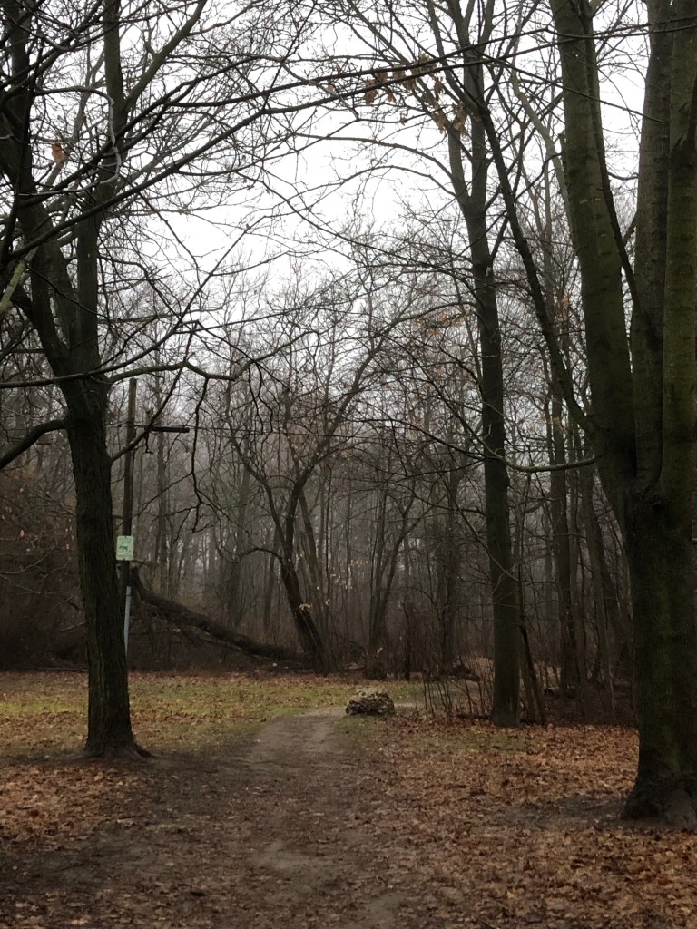 Rise of the&nbsp;Nones