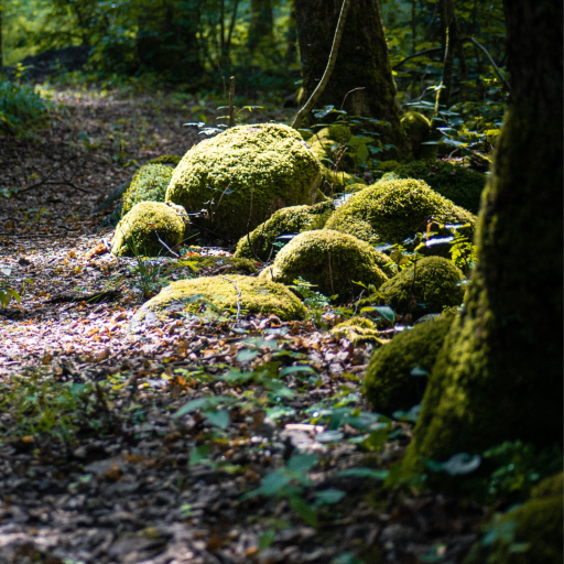 Other blogging challenge&nbsp;posts