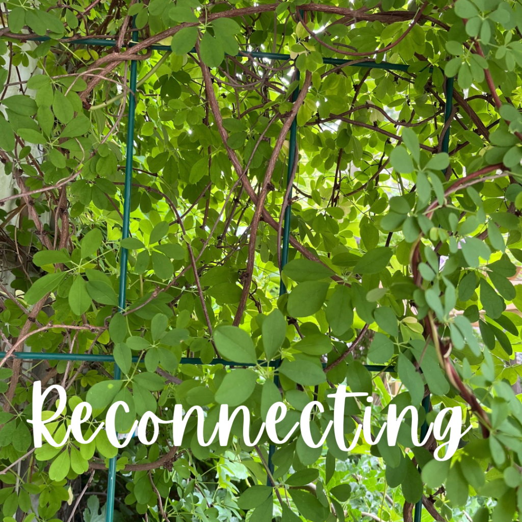 Reconnecting