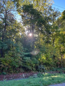 Discerning good theology